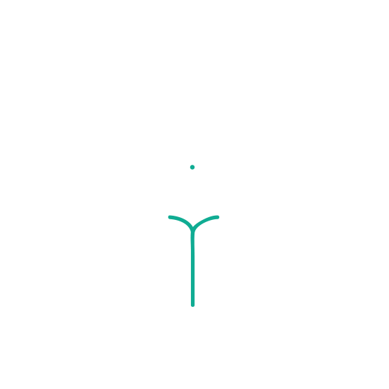 Körper